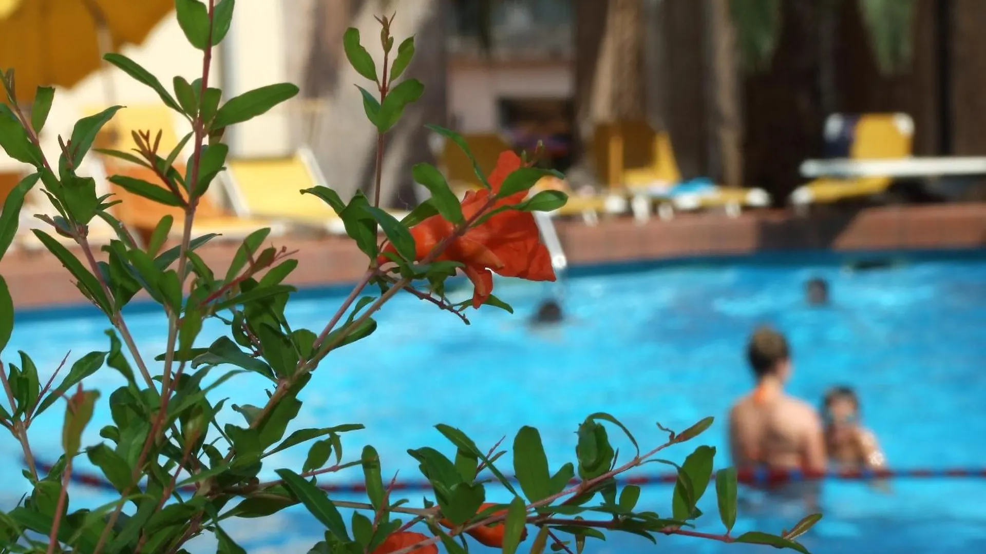 Hotel Coccodrillo Varazze